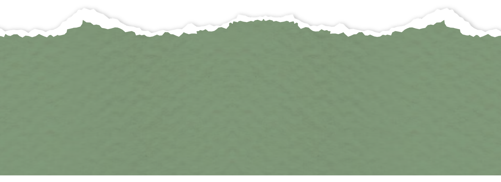 Recurso 21 (2)CaroySalva